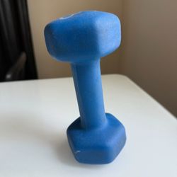 Single 8 Pound Dumbbell For Only .50 Cents !