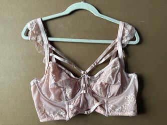 Torrid Curve Pink Velvet Top