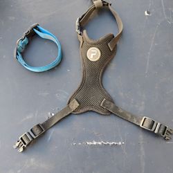 Stainless Steel Water And Feeding Bowls Harness And Collar