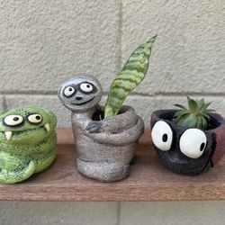 Blobhouse Set Of Adorable Planters With Real Plants 