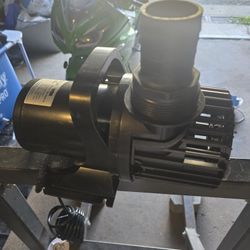 Pond Pump 
