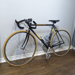 Trek Carbon Composite 2100 Shimano 700c