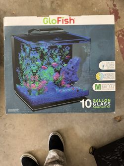 GloFish Glass Aquarium Kit, 10 Gallons