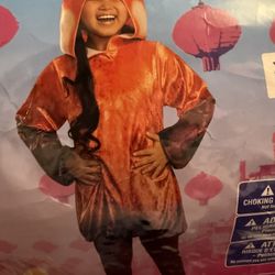 Red panda Turning red Costume Disney Mei 
