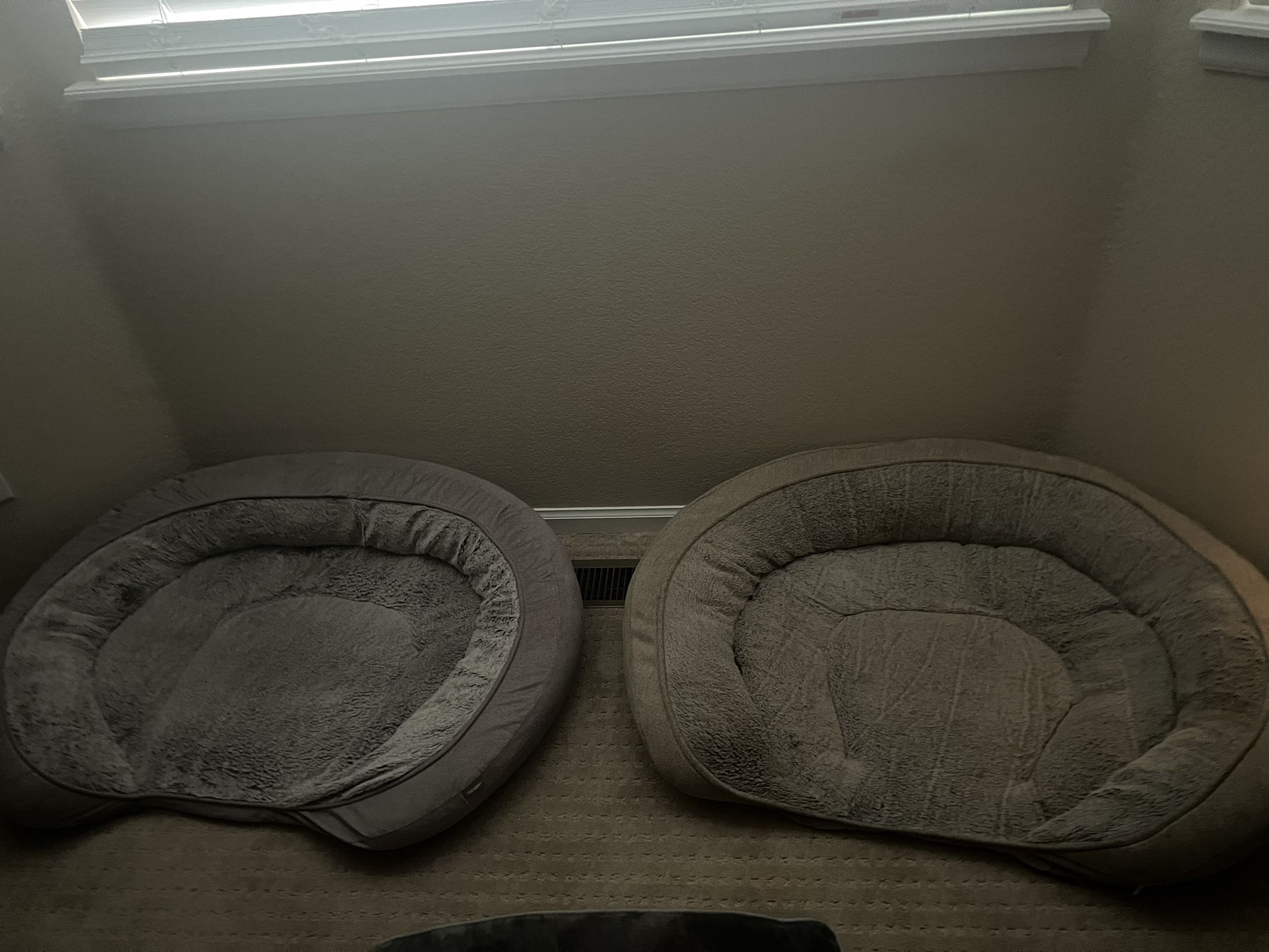Two Orthopedic Dog Beds