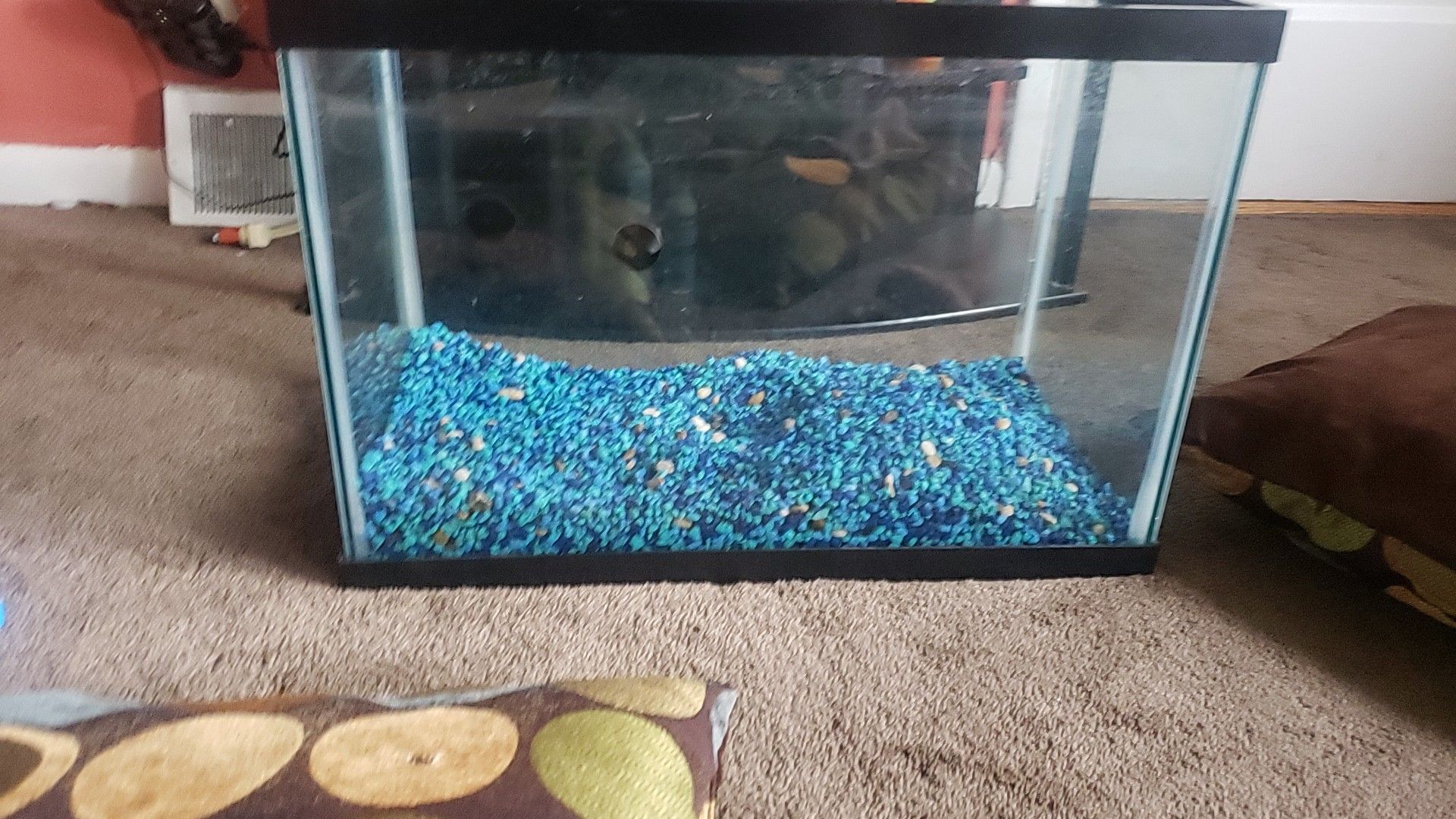 fish tank