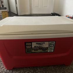 Igloo Cooler 25$
