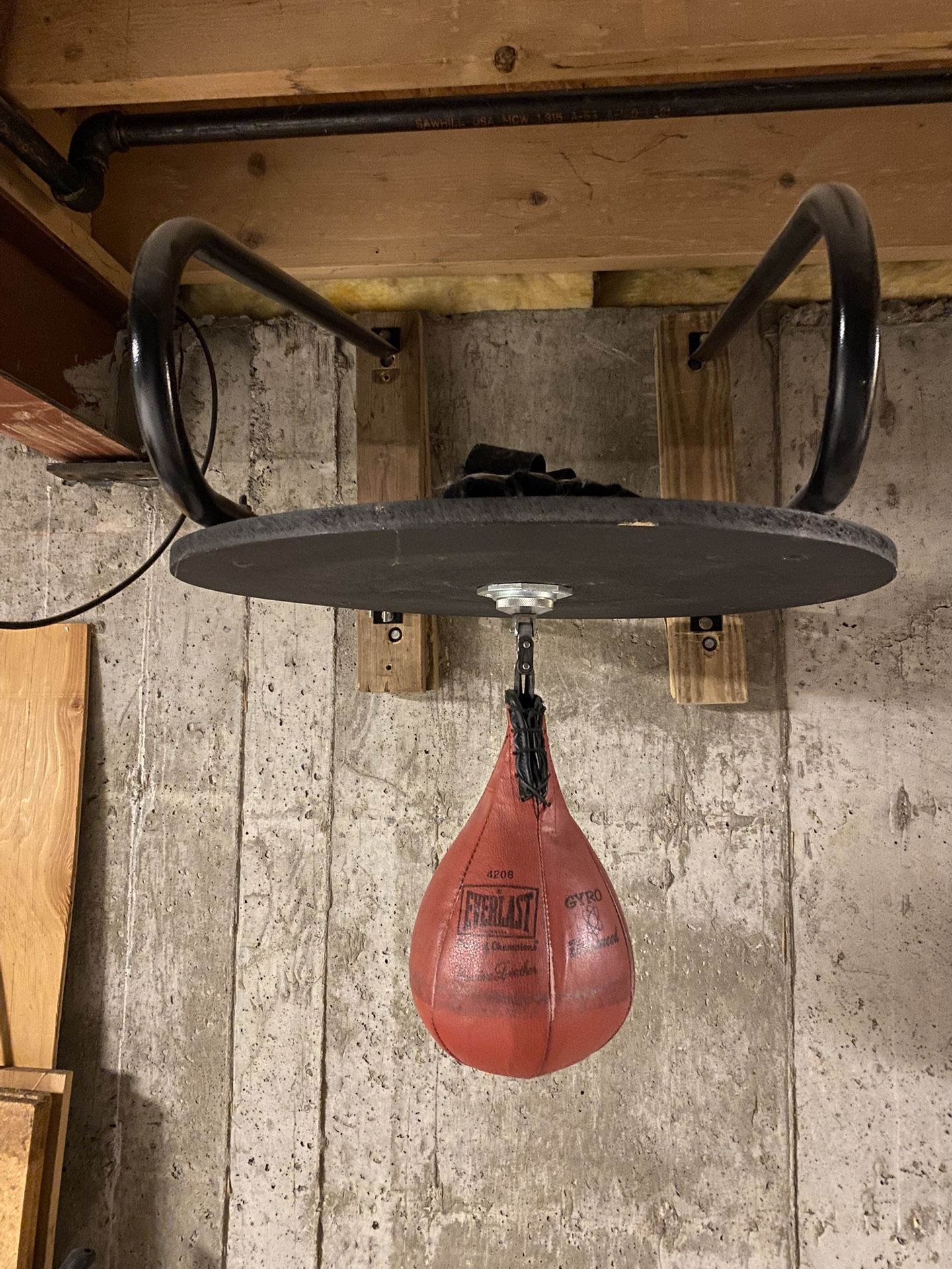 Everlast Speed And Heavy Bag