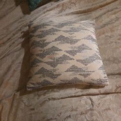 Two Pillows For Decor
