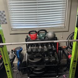 Rogue Fitness Monster Lite wall Mounted rig with Bench, Bar and Weights