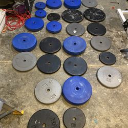 Weights 
