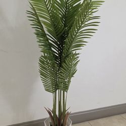 *** REDUCED *** 5ft Areca Palm in 12in (Tall) White Resin Planter @ Lasting Creations 