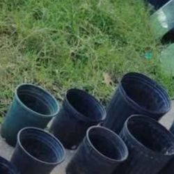 botes para plantas $1