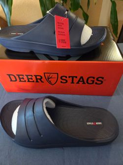 Sandles deer stags