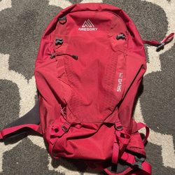 Gregory Salvo 24 Backpacks 