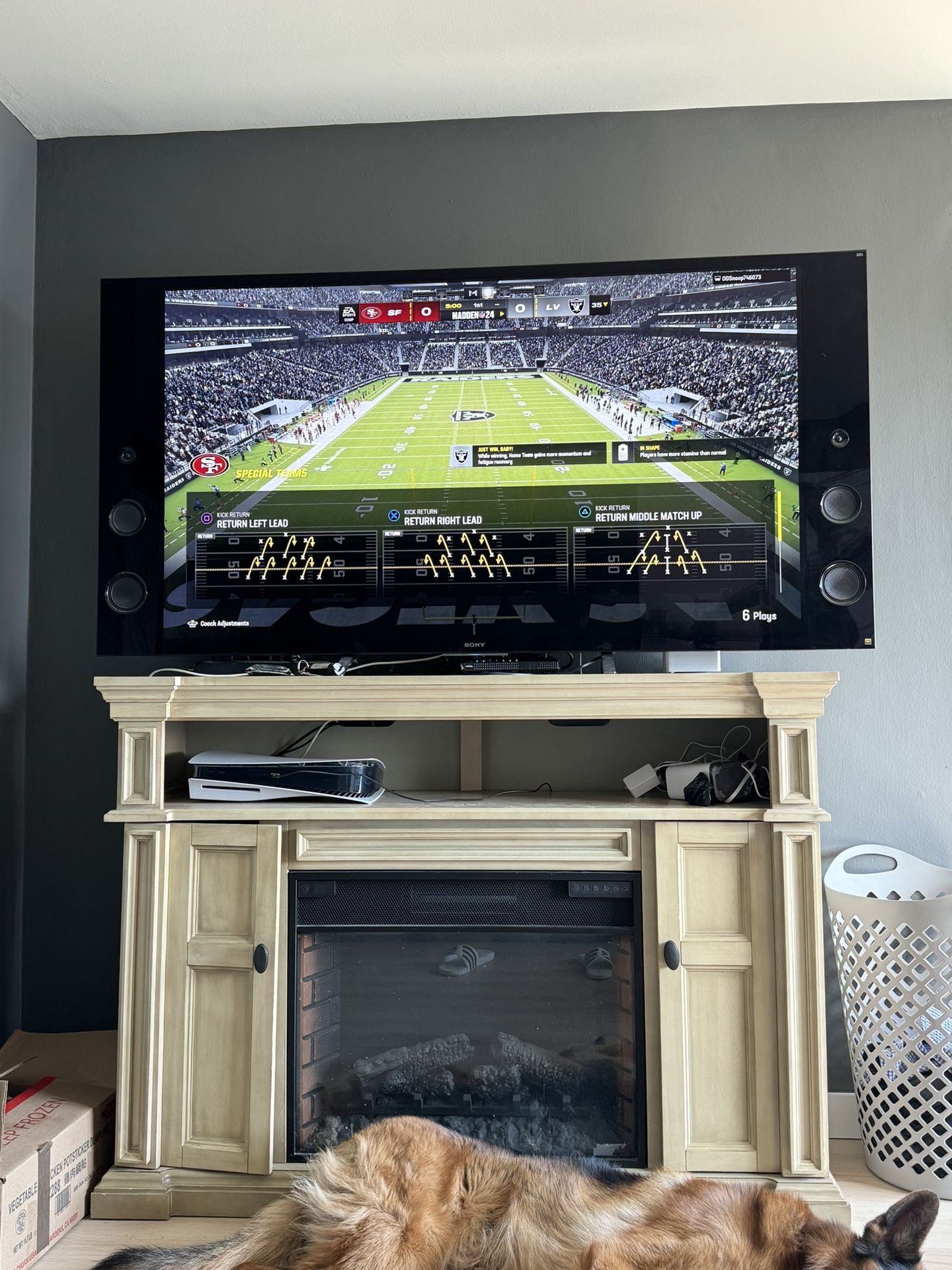 TV, FIRE PLACE AND LEATHER COUCHES