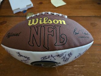 Pair of Carolina Panthers autographed footballs