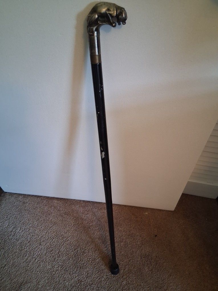 Vintage Walking CAIN  with Protector 