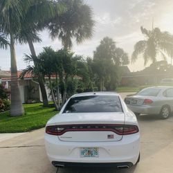 2016 White Dodge Charger 