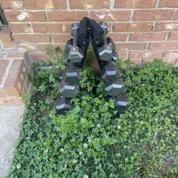 Gym Equipment 