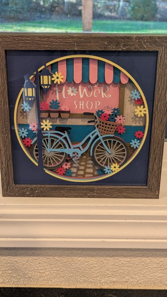 Bike Shadow Box 