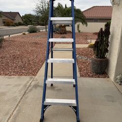 6’ Fiberglass Ladder