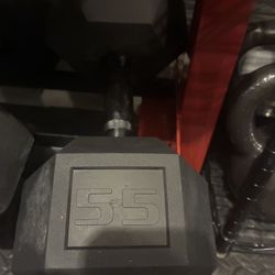 Two 55 pounds Dumbbells 