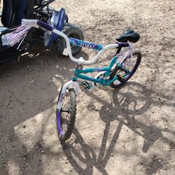 Girl's Bike 