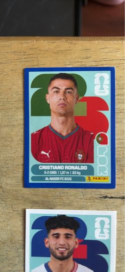 2026 FIFA World Cup Panini stickers