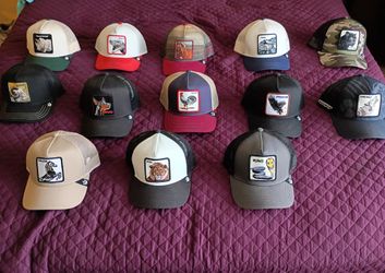 13 Goorin Bros Animal hats