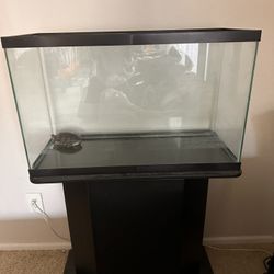 Fish Tank 
