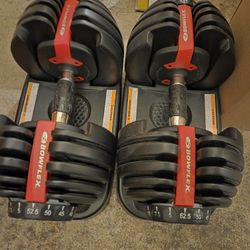 Bowflex Adjustable Weights