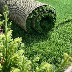 Baby Turf On Sale!