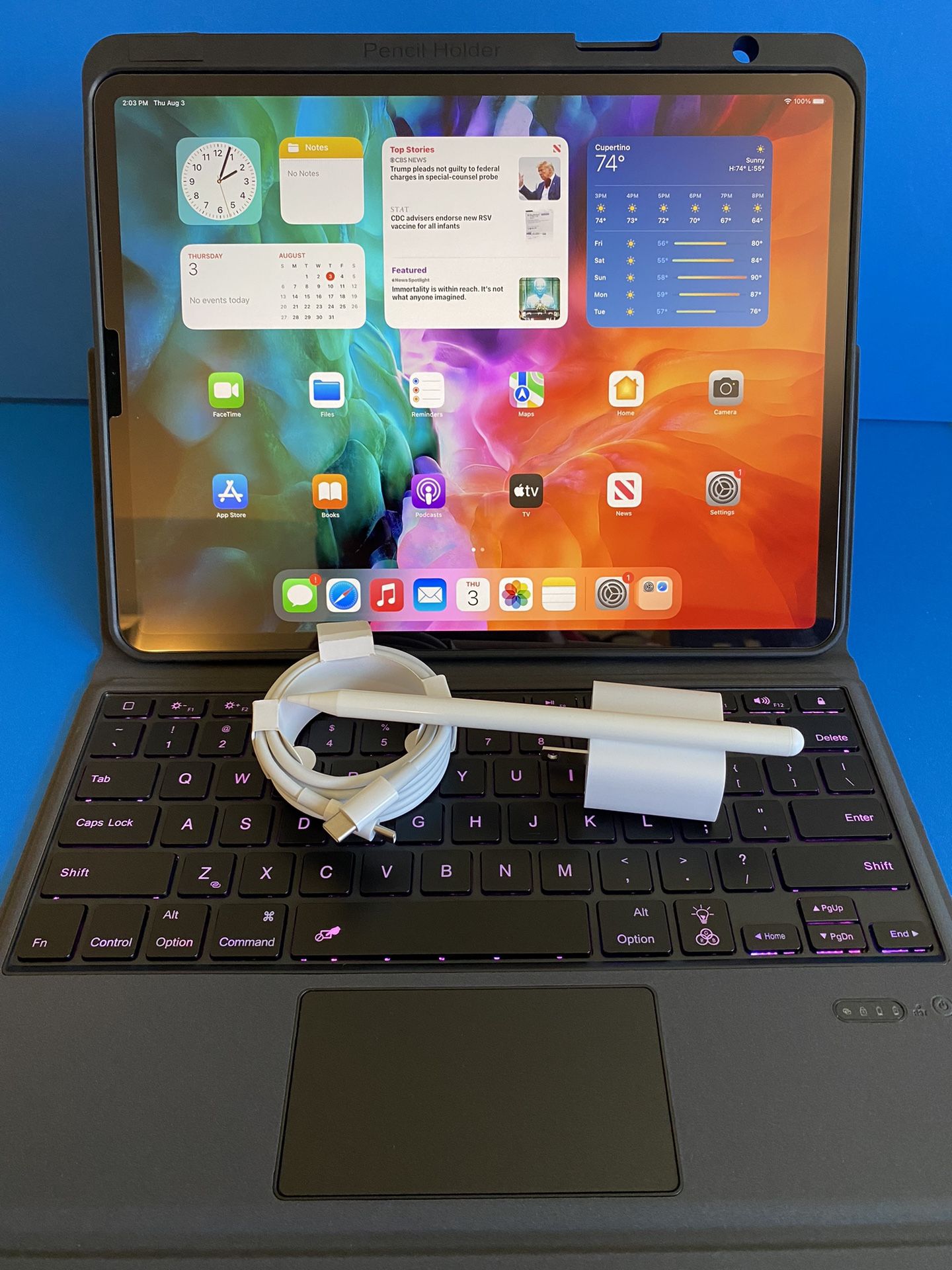 256GB Apple IPad Pro 12.9” 4th Generation (2020 Model/ Face ID
