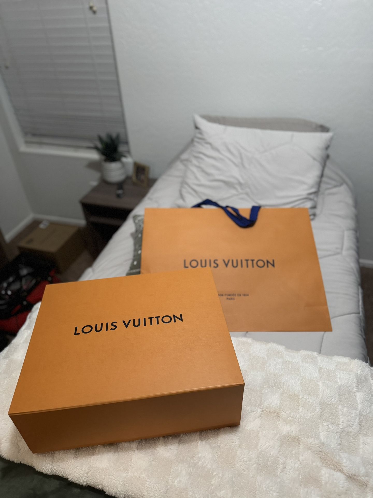 Louis Vuitton Bag and Box