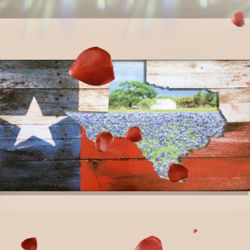 Wall decoration oil painting (hand-painted)