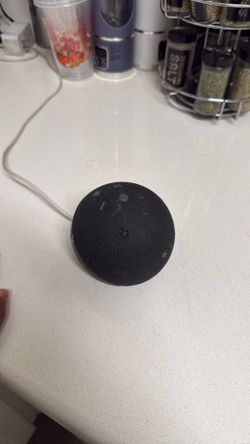 Echo Dot Black