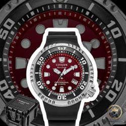 Citizen Eco-Drive Promaster Professional Diver watch, model number BN1024-01Z