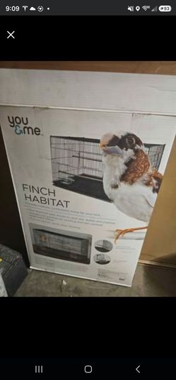 Bird cage black