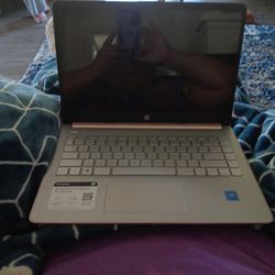 HP Laptop Rose Gold