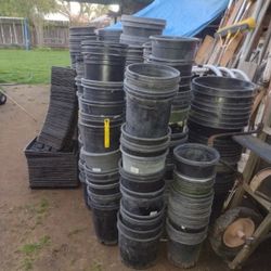PLANT POTS
