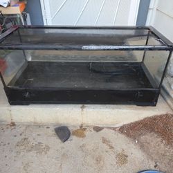 20 gallon long tank!