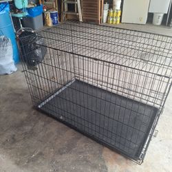 Dog Cage