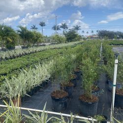 Sod, Plants, Mulch & Paver Delivery 