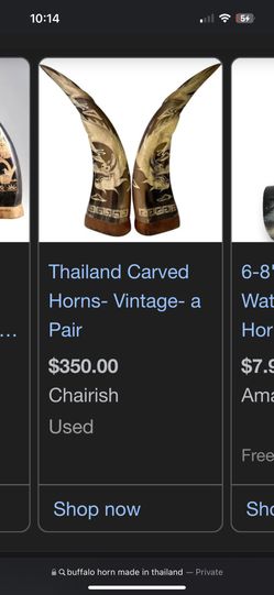 Real Buffalo Horn