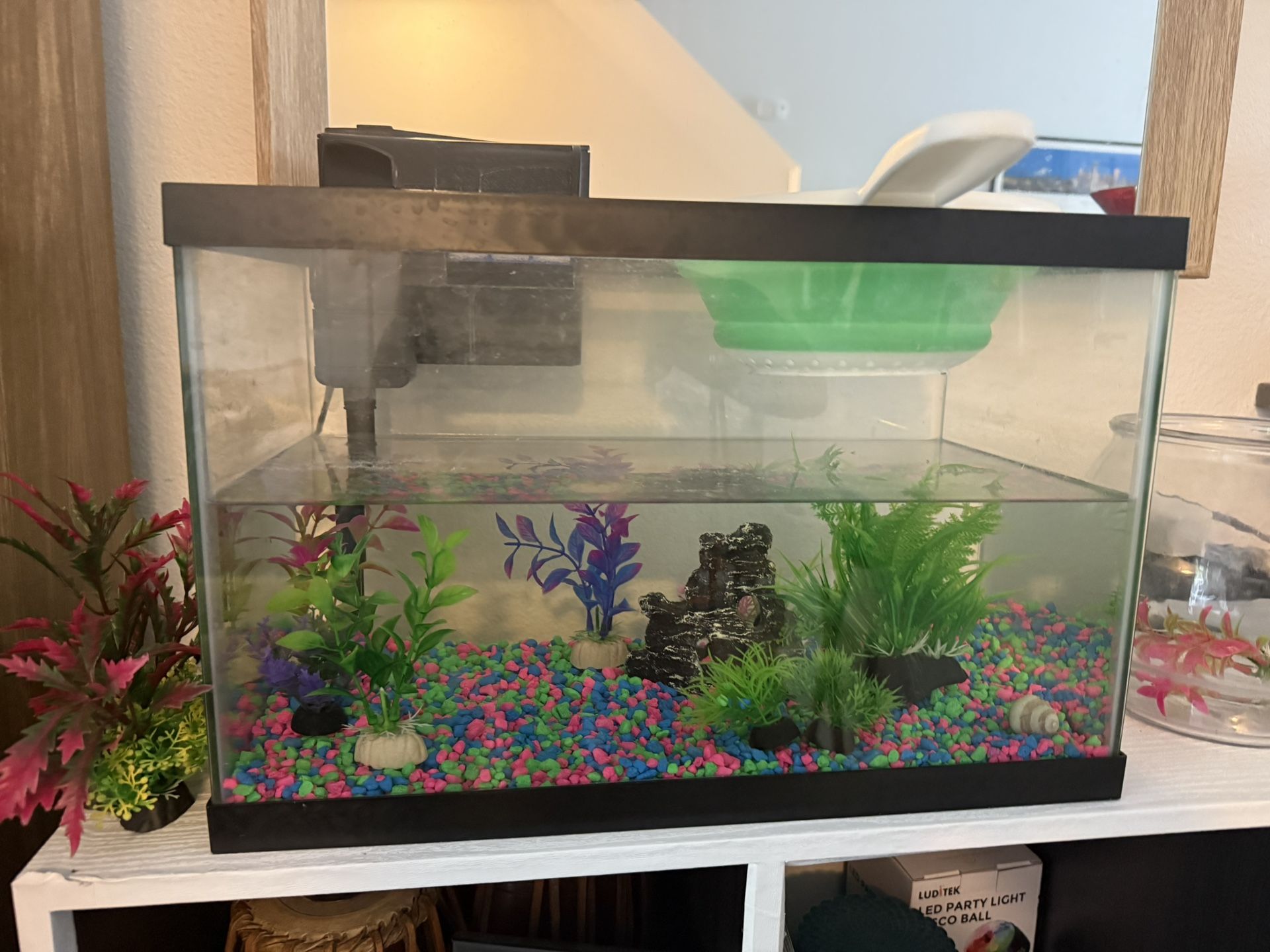 Fish tanks And Accessories