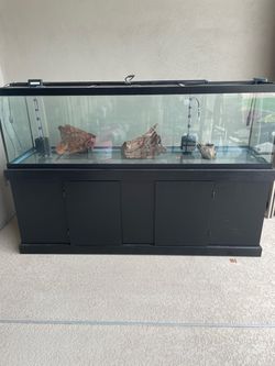 125GL Aquarium and Stand