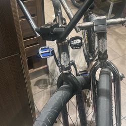 Throne 29er 