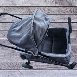 Wagon and car seat