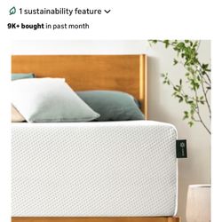 Queen 10 Inch Memory Foam Mattress